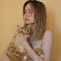Три кота и одна Варя