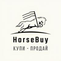 HorseBuy - Купля продажа лошадей