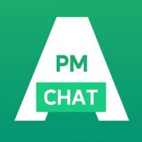 Project Manager Chat