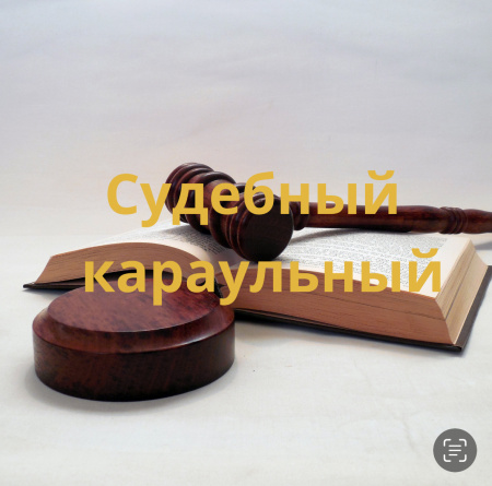 Судебный караульный